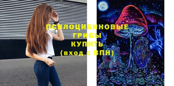 прущий лед Белокуриха