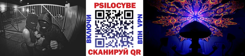 Псилоцибиновые грибы Psilocybine cubensis Купить где Горячий Ключ